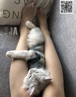 丝瓜黄瓜草莓榴莲视频在线观看_BD英语迅雷电影在线